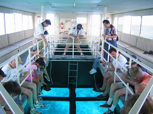 Glass Bottom boat Tours in Sharm El Sheikh