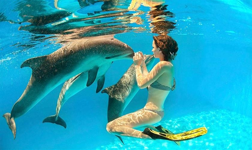 Esnórquel tour en Satayh Dolphin Reef