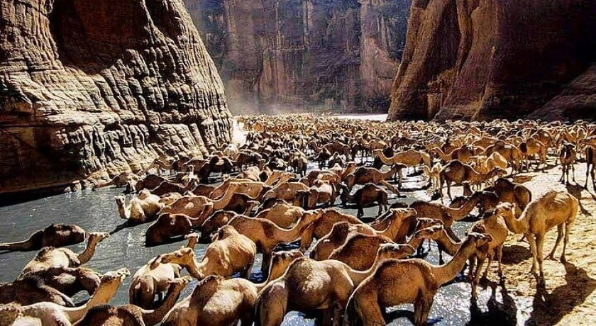 Wadi El Gemal Tours em Marsa Alam
