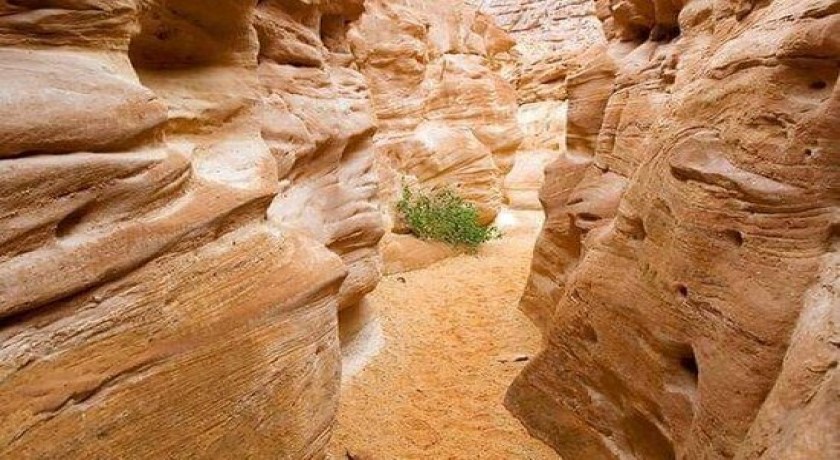 Passeios de Canyon Coloridos de Taba