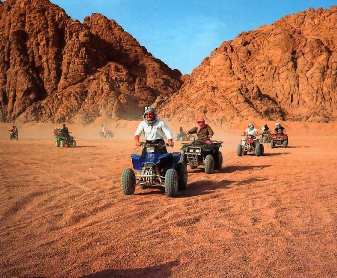 Safaris en Marsa Alam