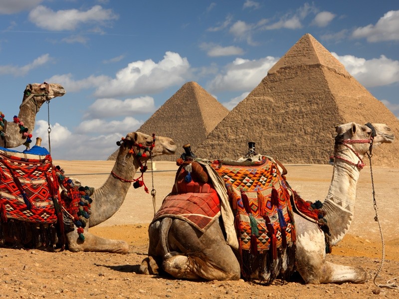 Overnight Cairo Tours from Taba