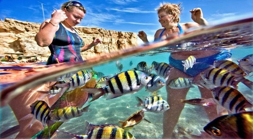 Tours Ras Mohamed del Puerto de Sharm El Sheikh