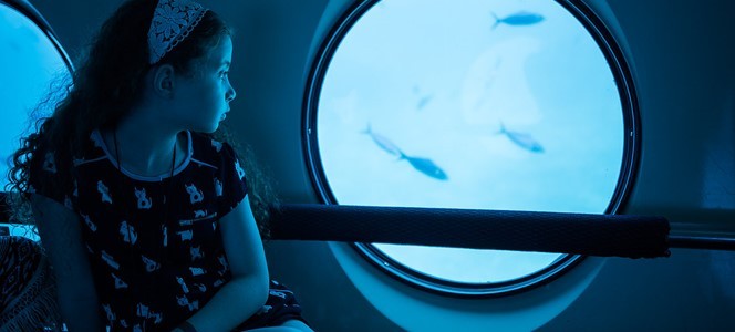 El Gouna tours to Sindbad submarine