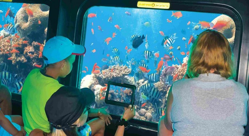 Tour a semi-submarine en sharm el sheikh