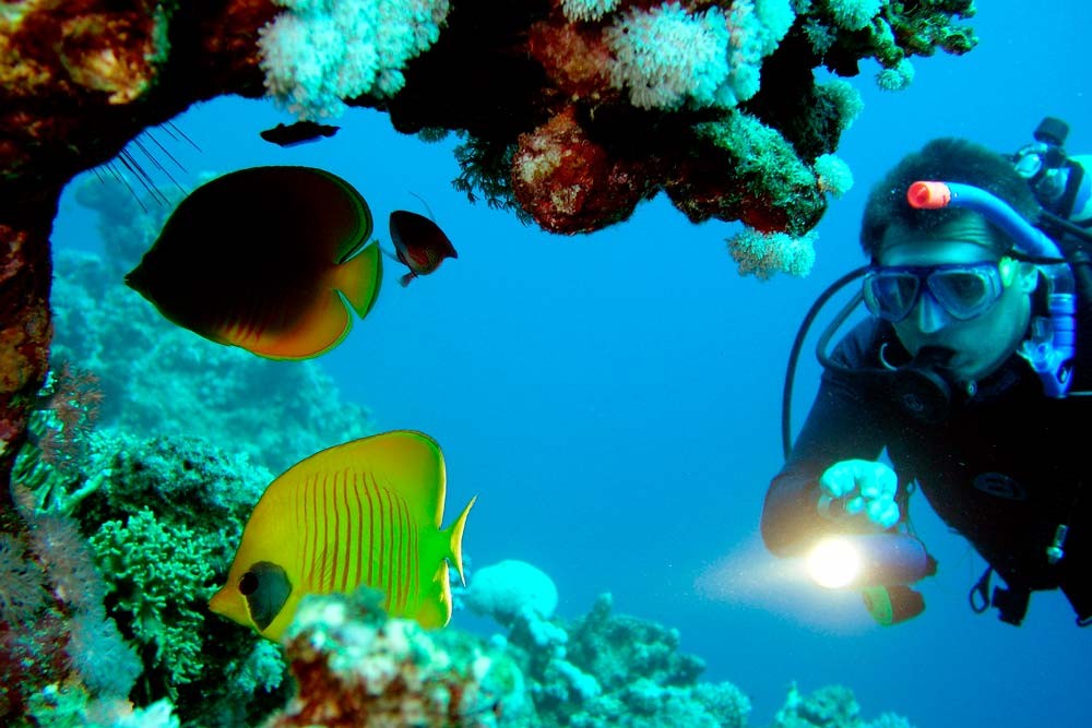 Magawish Island Snorkeling-Hurghada Trip