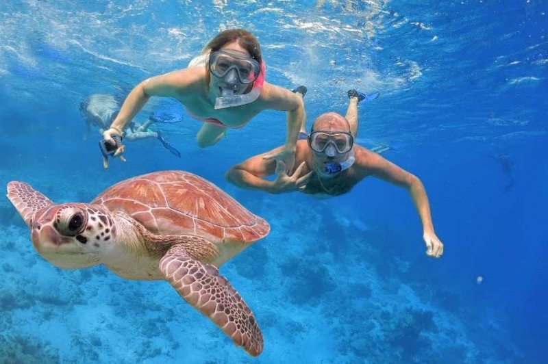 Hamata Island snorkeling tour from Marsa Alam