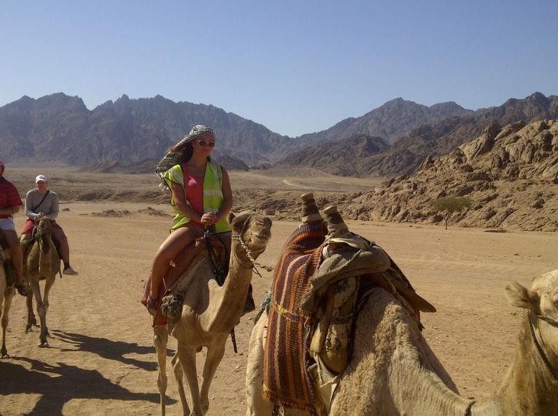 Safari Tours in Dahab from Sharm Marina