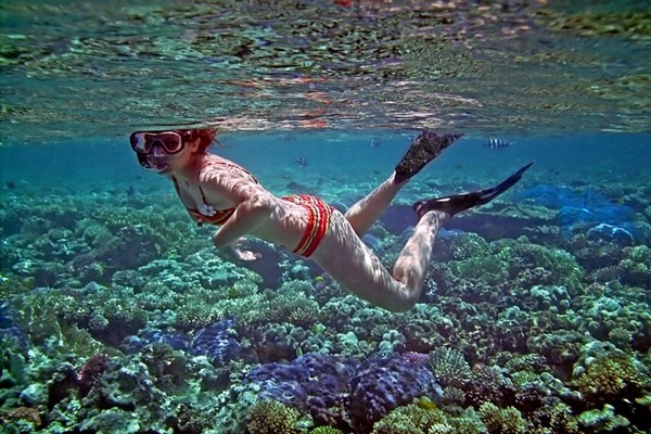 Mahmya Island Tour in Hurghada