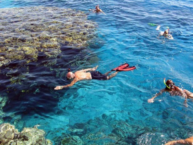 Esnórquel Tour en Port Ghalib desde Marsa Alam