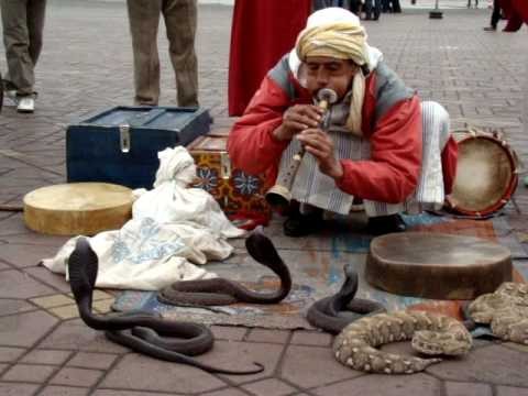 Egypt and Morocco Tours