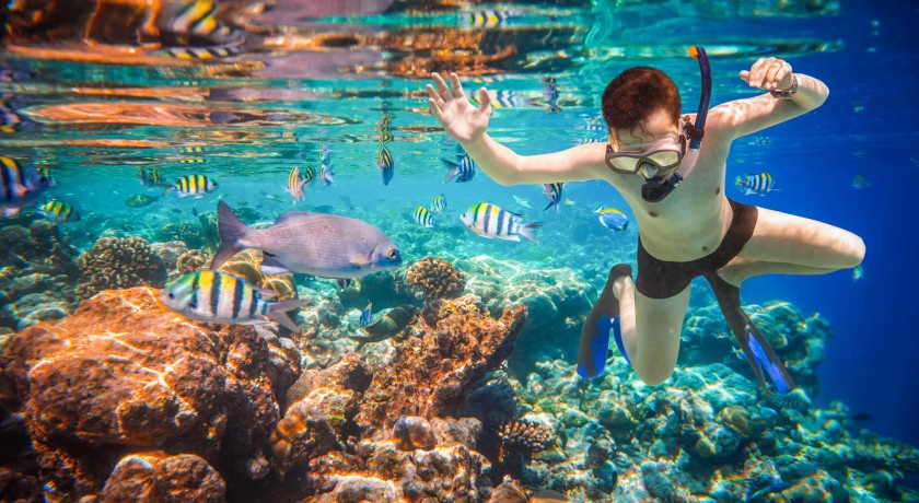 Tours El Cairo, Crucero, Alejandría y Sharm El Sheikh
