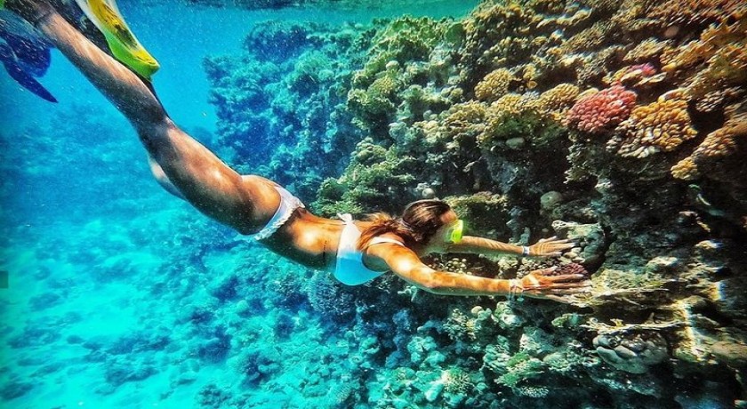 Tours de Esnórquel en El agujero azul en Dahab