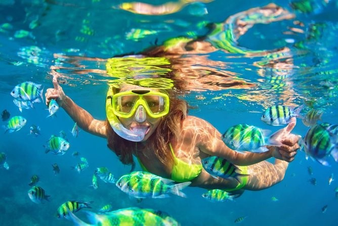 Excursiones de Esnórquel en Tres piscinas en Dahab