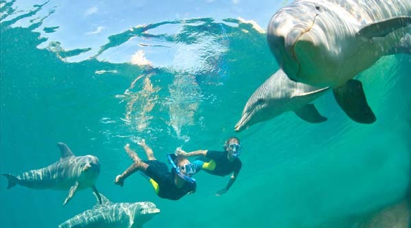 Magawish Island Snorkeling-Hurghada Trip