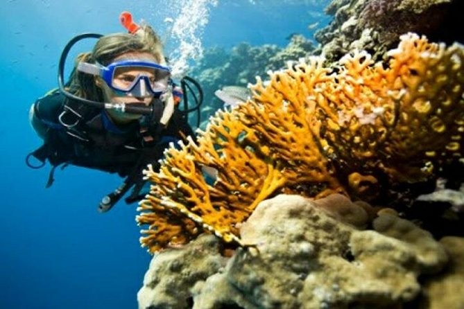 7 Days Marsa Alam Holiday