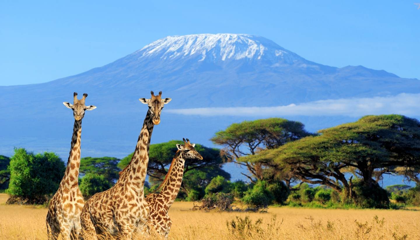 Northern Kenya Safari & Wildlife Holiday Packages