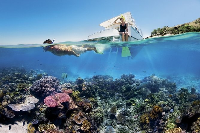 Ras Mohamed Tours from Dahab