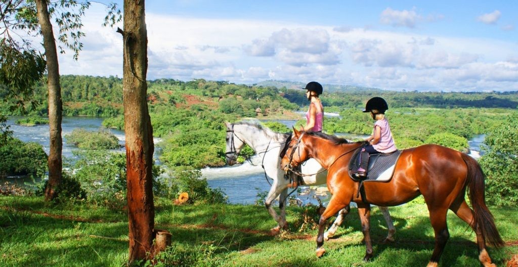 9 Days Wildlife Safari
