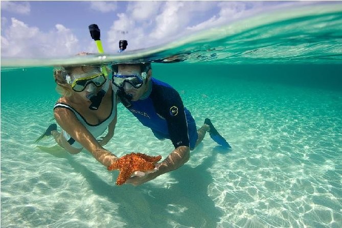 Abu Dabab Snorkeling Adventure