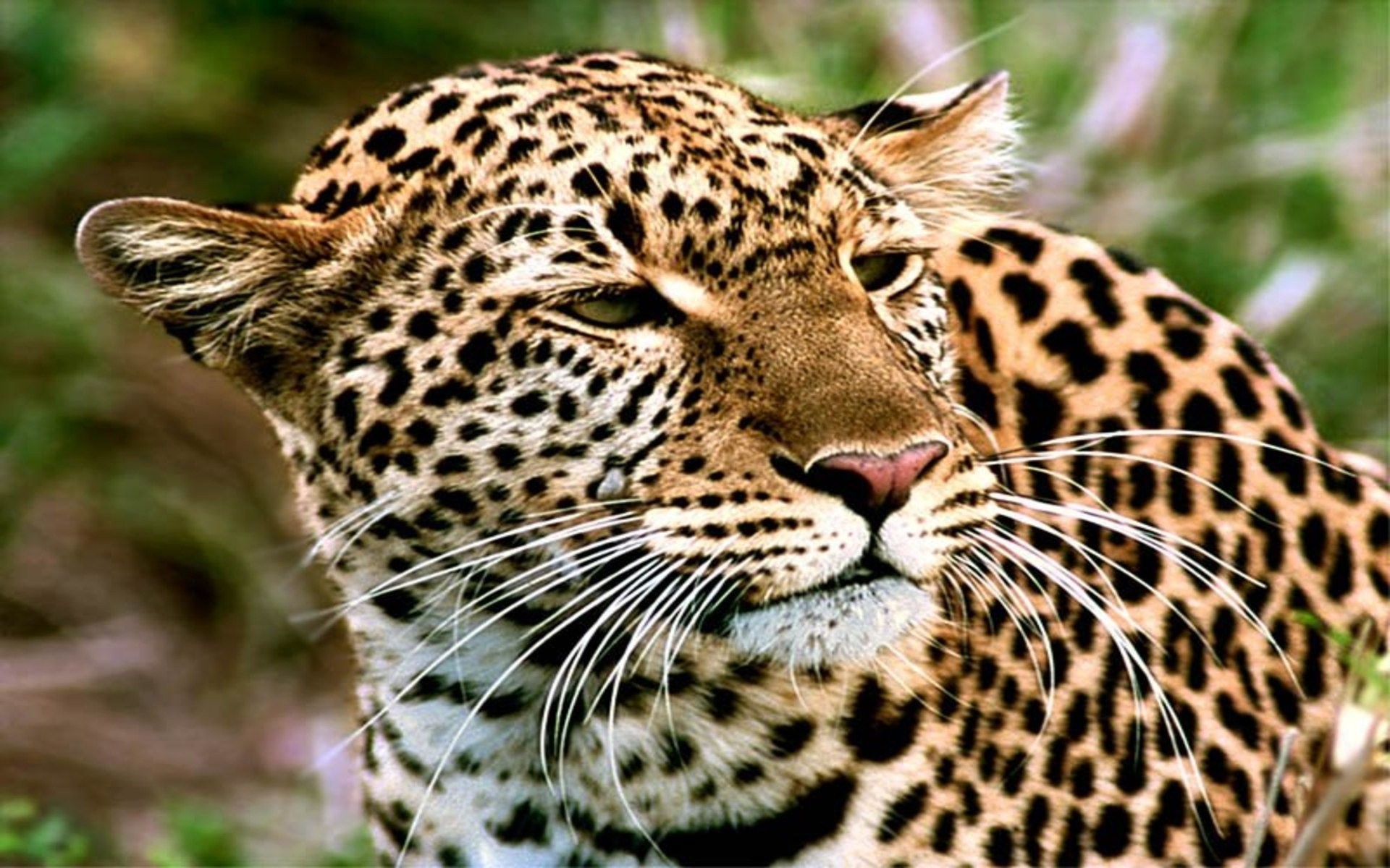 7 Days Cultural And Safari Camping