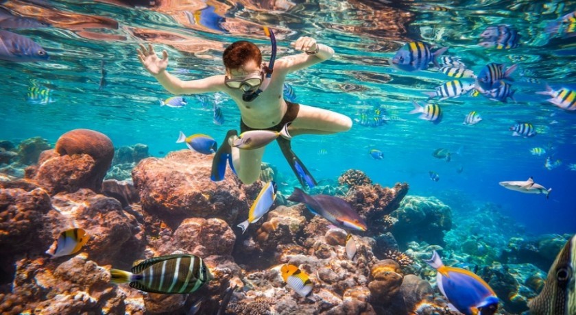 Tours Ras Mohamed del Puerto de Sharm El Sheikh
