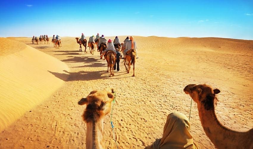 El Gouna tours to safari desert