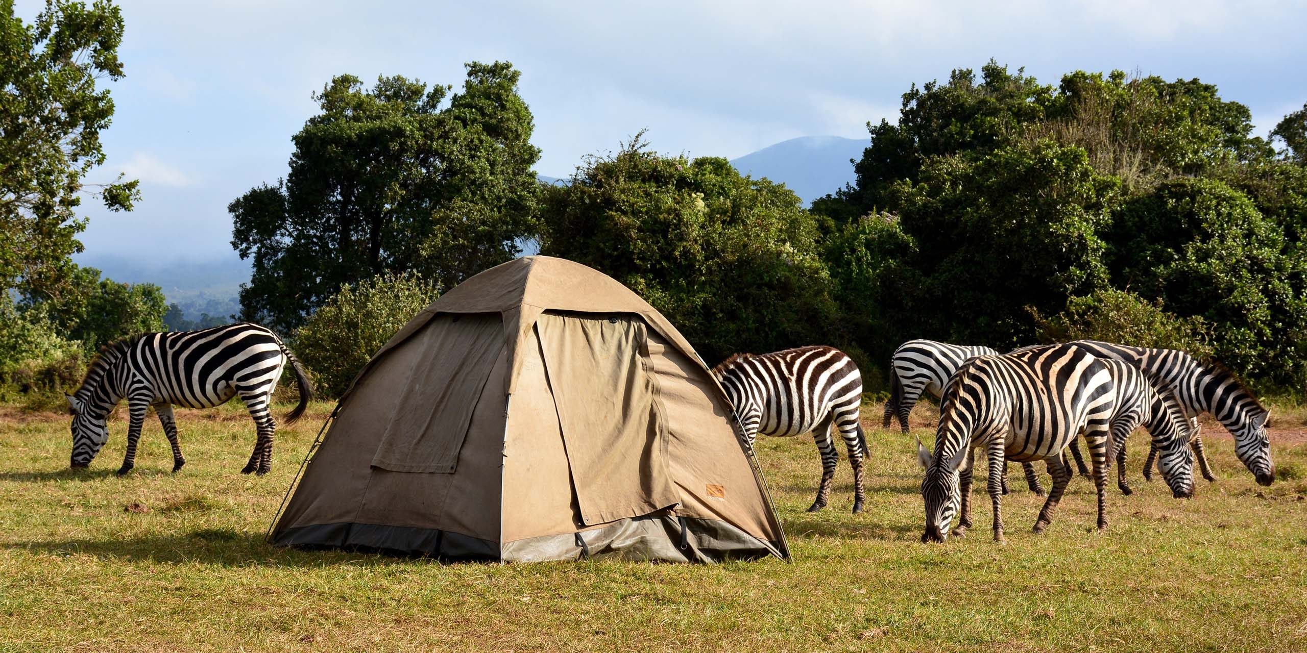 2 Days Safari Lodge Safari