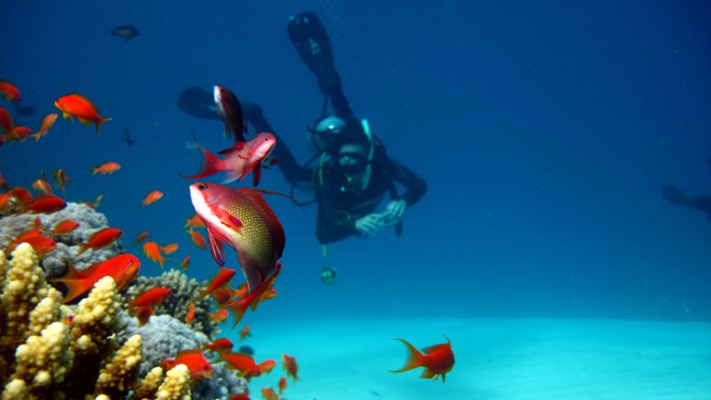 Three Pools Snorkeling Tours in Dahab