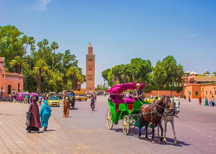 Tour to Agadir and Marrakech