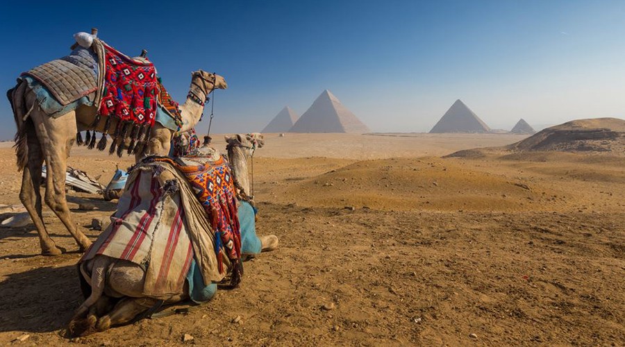 Cairo Tours from Aswan by Plane