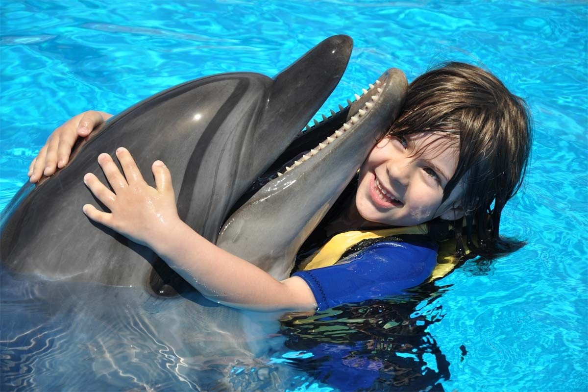 Swimming with Dolphins in Hurghada
