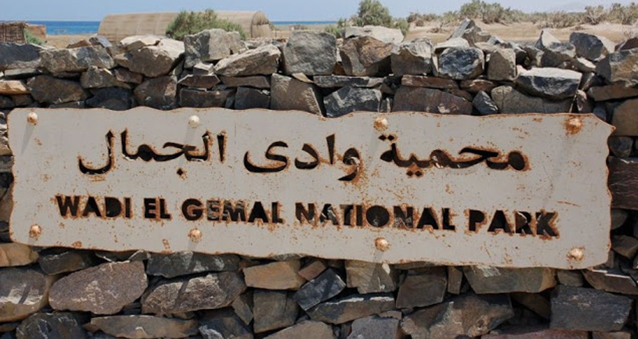 Wadi El Gemal Tours in Marsa Alam