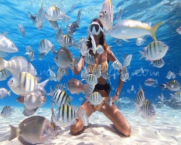 Esnórquel Tour en Port Ghalib desde Marsa Alam