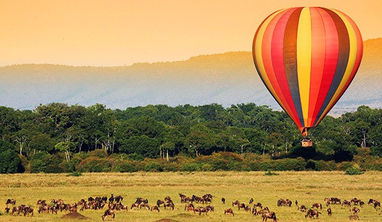 Kenya Golden Safari Experience
