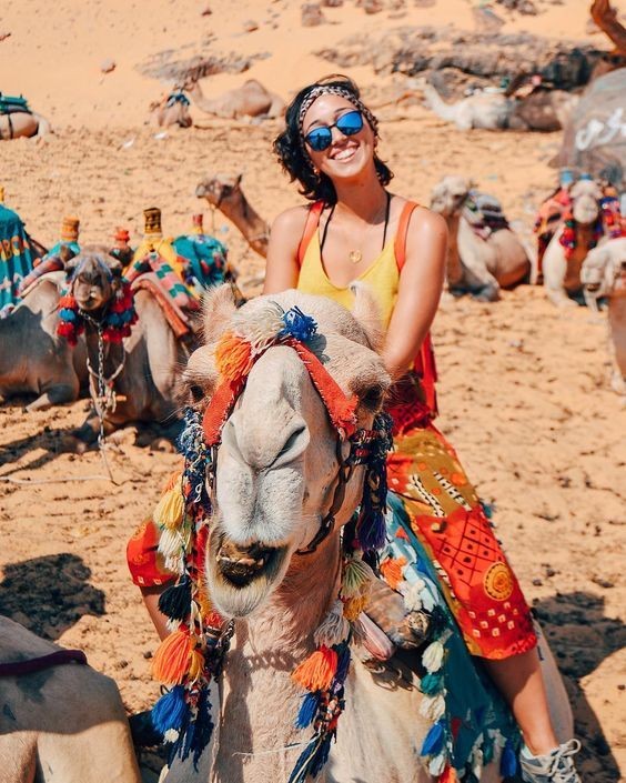 El Gouna tours to safari desert