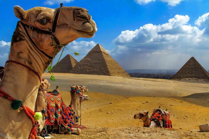 Cairo,Nile cruise and Dahab tours