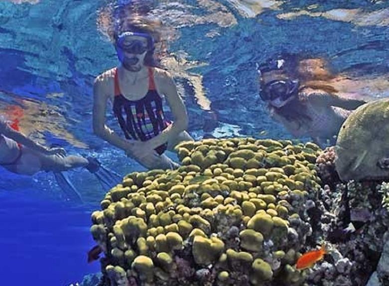 Snorkeling Tours from Safaga Port