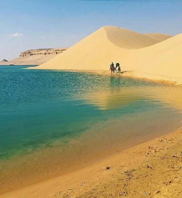 Noche El Fayoum en campamento desde Cairo