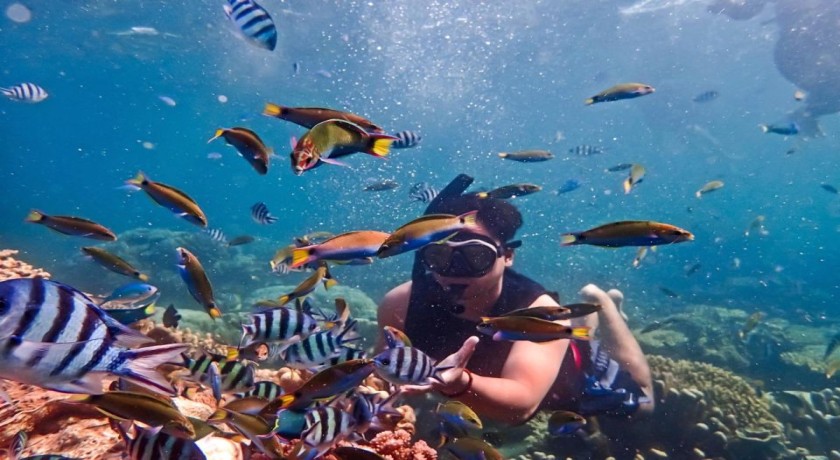 Petra Año Nuevo 2026 desde Sharm el Sheikh - Excursión