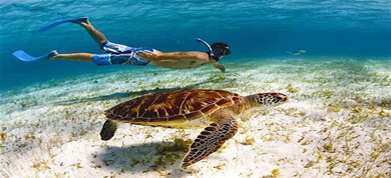 Paradise island from Hurghada