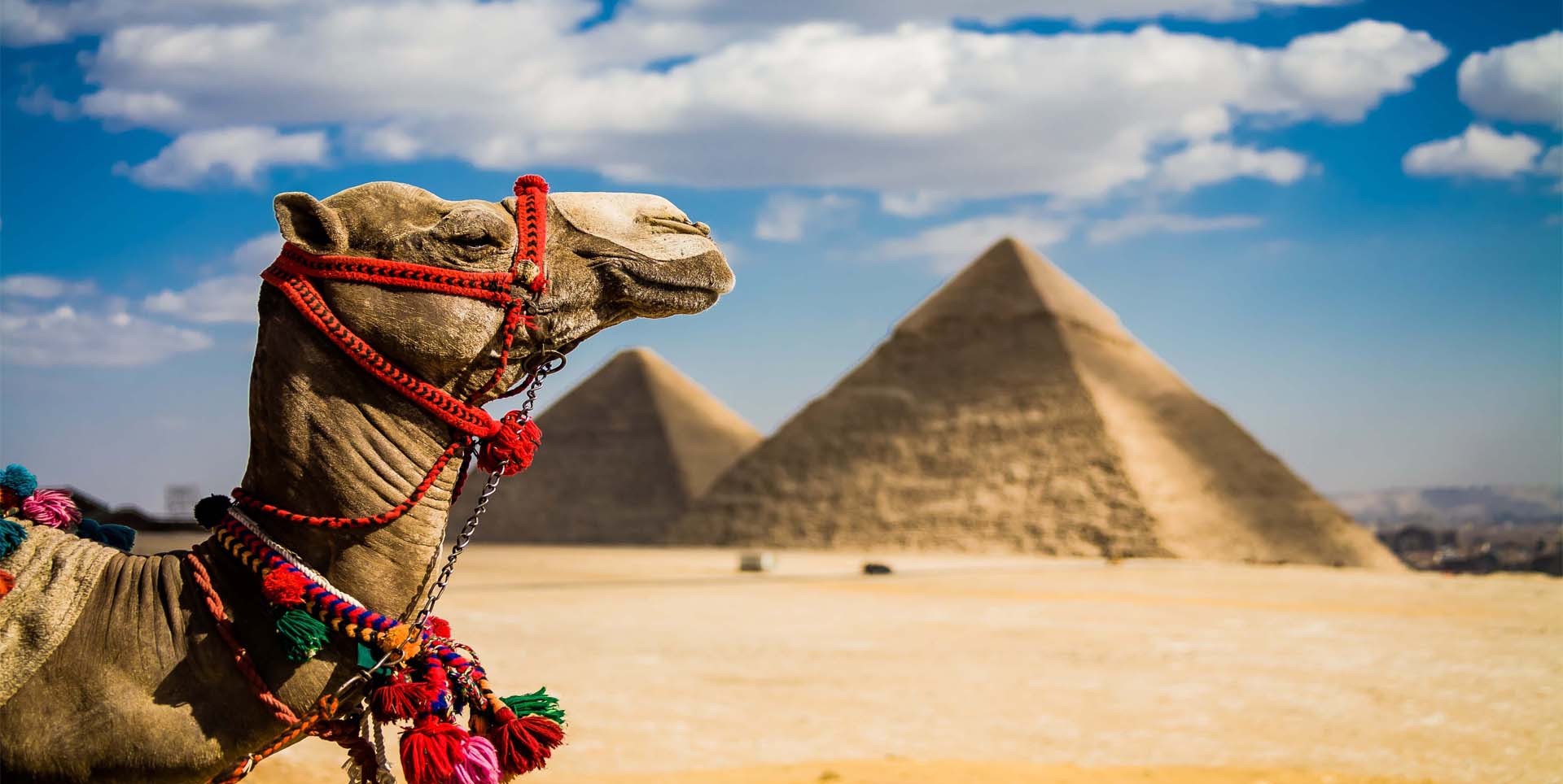 Cairo Tours from Aswan by Plane
