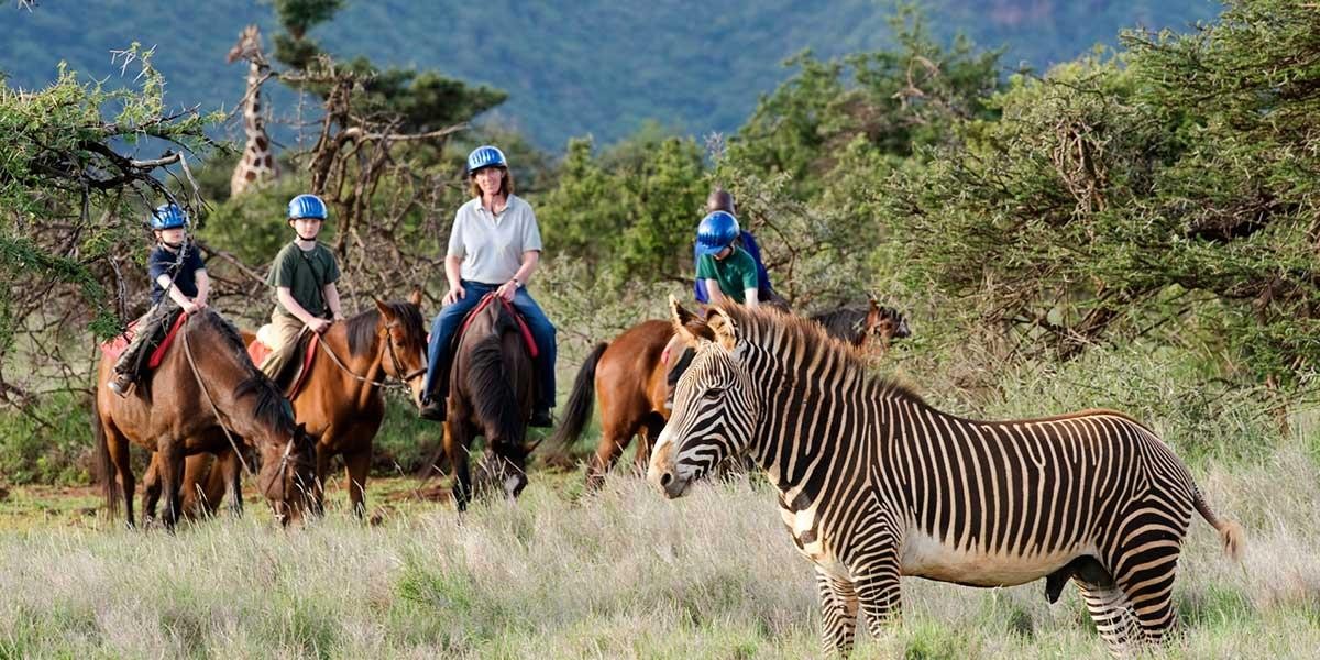 Kenya Safari – Nairobi Wildlife Experience