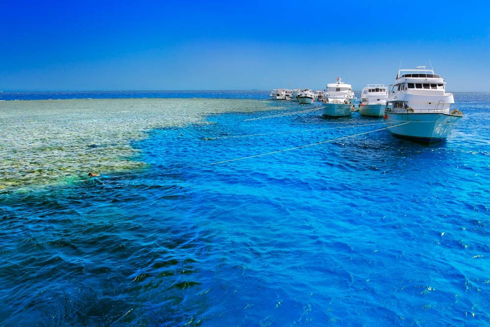 Tiran Excursiones en Sharm El Sheikh