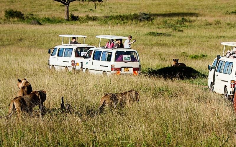 3 Days Lodge Safaris
