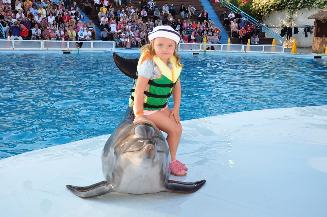 Dolphin Show Tours in Sharm El Sheikh