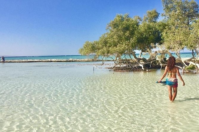 Tours de Esnorquel en Sharm El Luli Marsa Alam
