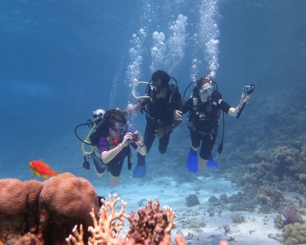 Mergulho em Sharm El Sheikh