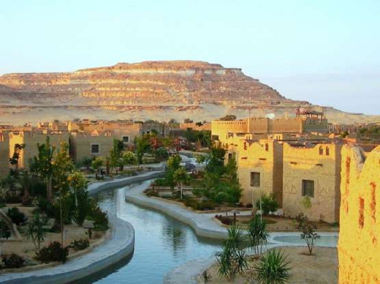 Cairo, Nile Cruise and safari tour Package