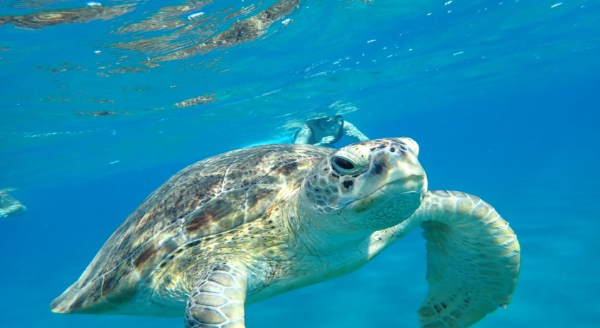 Marsa Alam Feriados e Pacotes